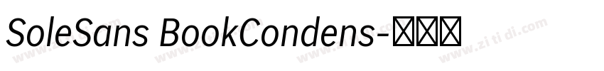 SoleSans BookCondens字体转换